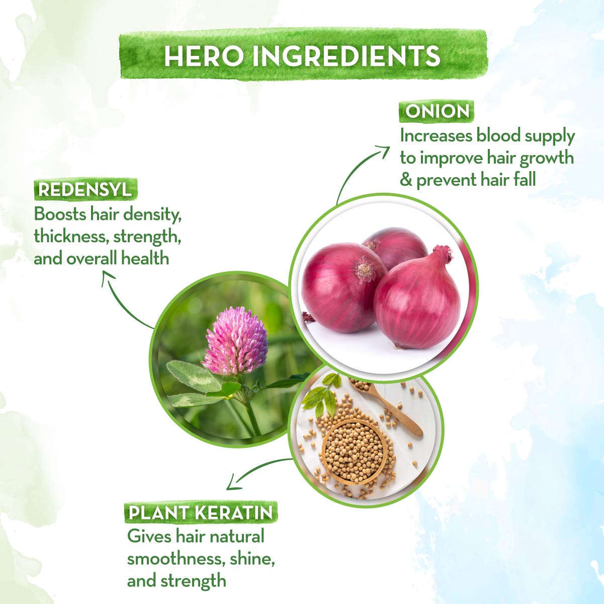 Mamaearth Onion Shampoo and oil combo (250ml + 150ml)