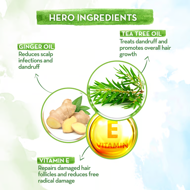 Mamaearth tea tree shampoo hero ingredients