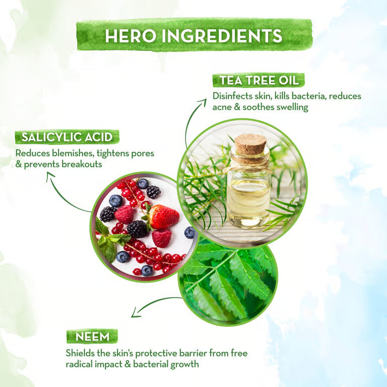 Mamaearth tea tree foaming face wash hero ingredients