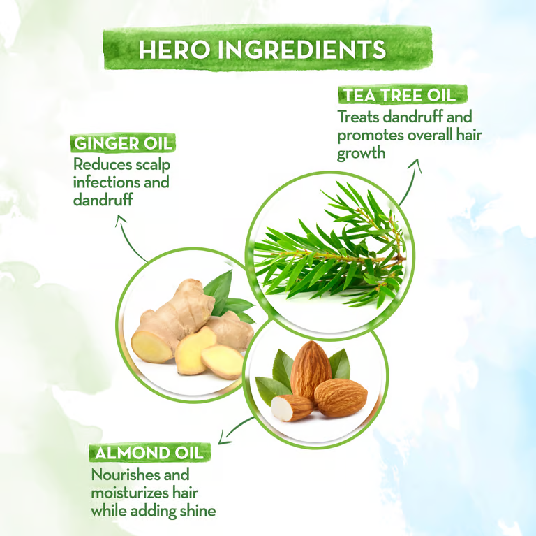 Mamaearth tea tree conditioner hero ingredients 