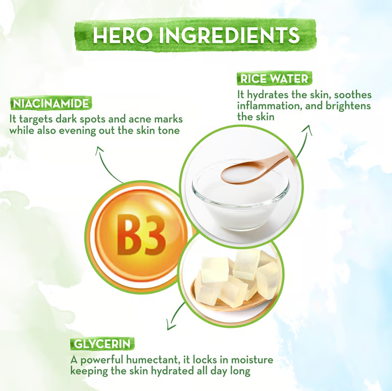 Mamaearth rice day cream hero ingredients