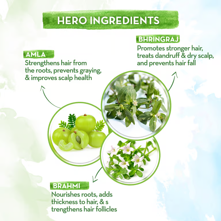 Mamaearth BhringAmla shampoo hero ingredients