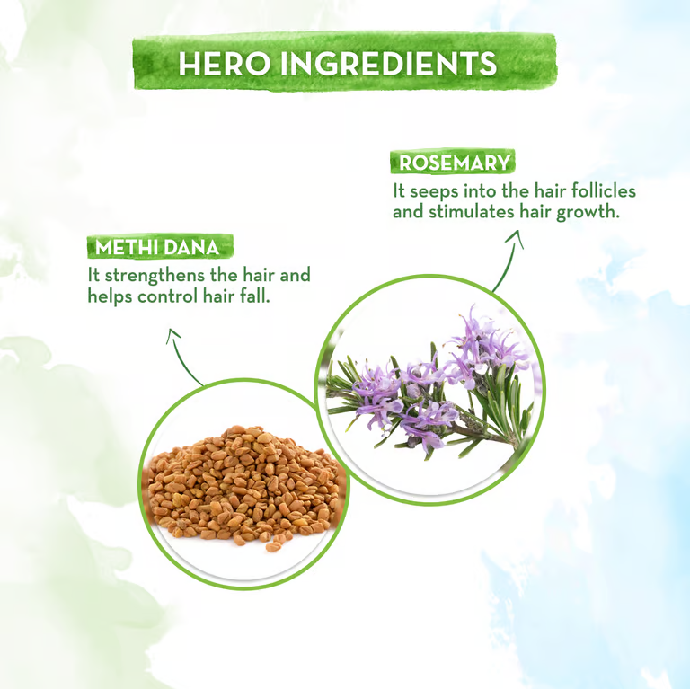 Rosemary Anti-Hair Fall Shampoo hero ingredients